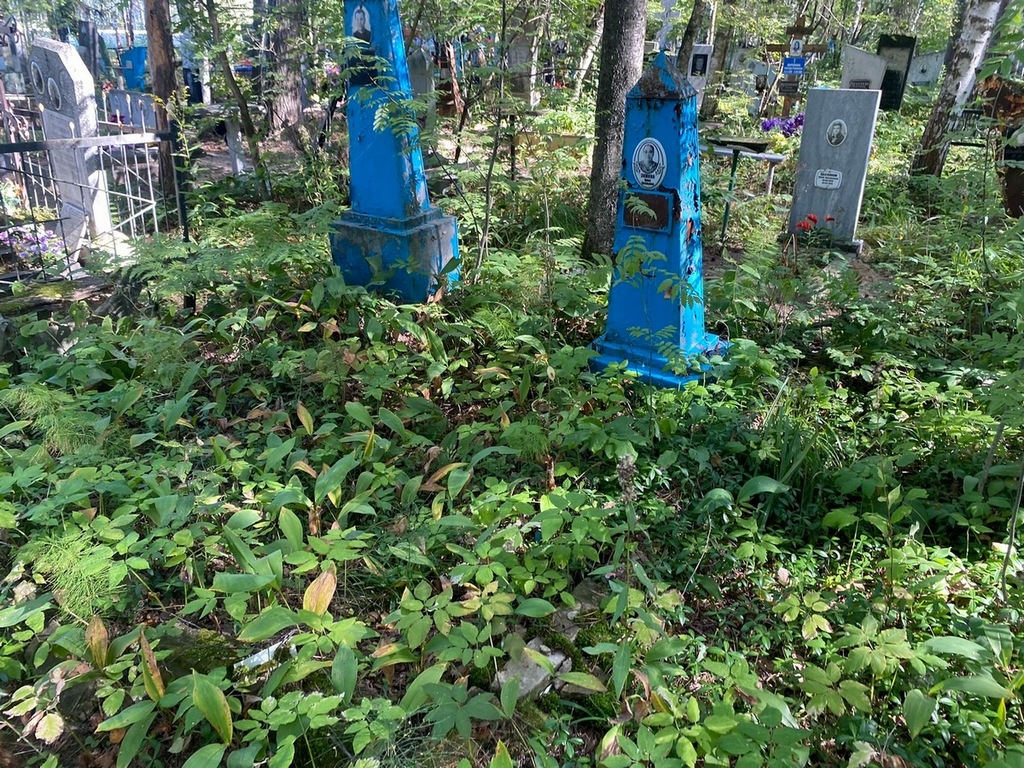 Зимина Анна Васильевна