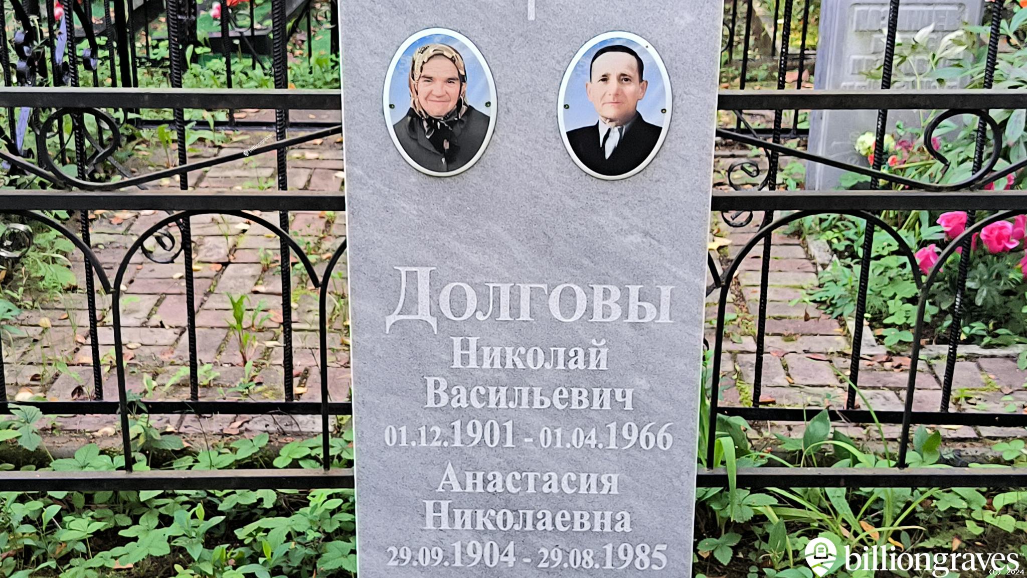 Долгова Анастасия Николаевна