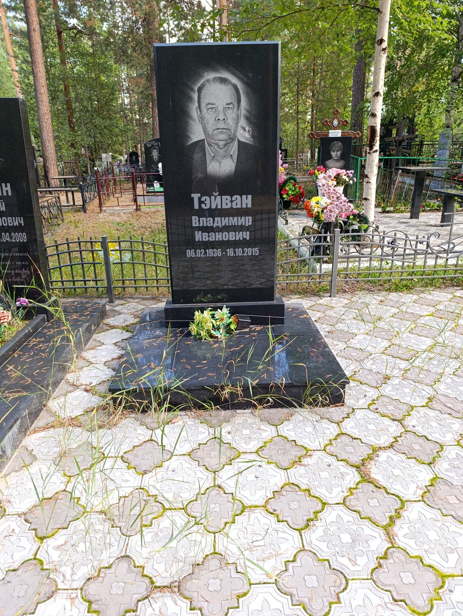 Тэйван Владимир Иванович