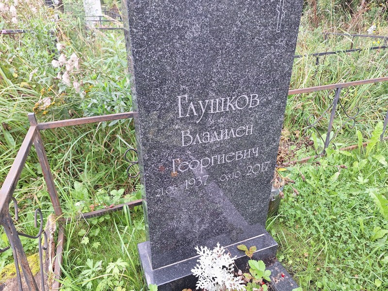 Владилен Глушков Георгиевич
