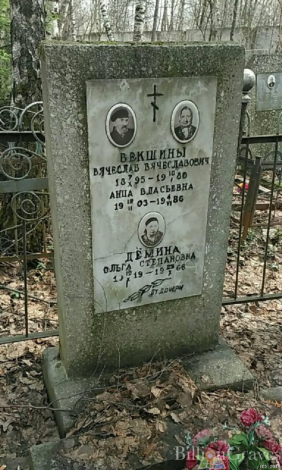 Векшин Вячеслав Вячеславович