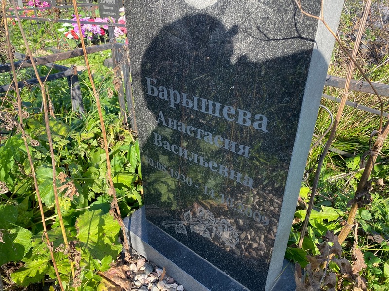 Барышева Анастасия Васильевна