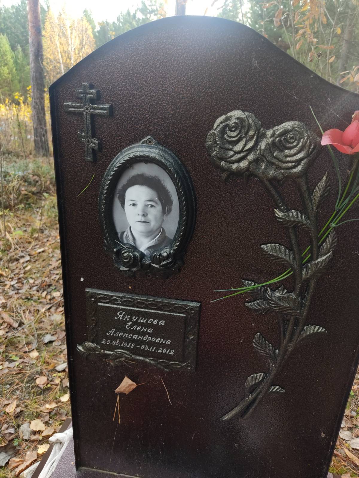 Якушева Елена Александровна