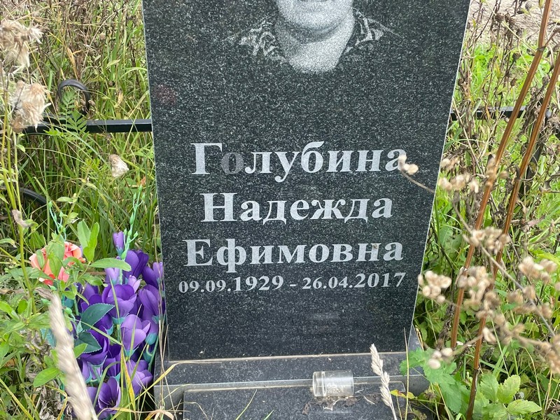 Голубина