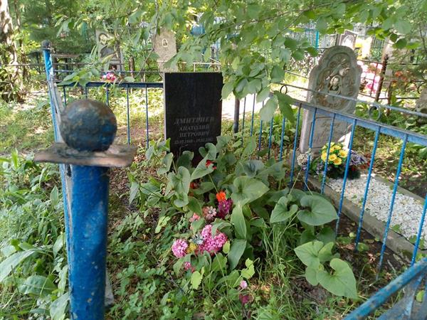 Дмитриев Анатолий Петрович