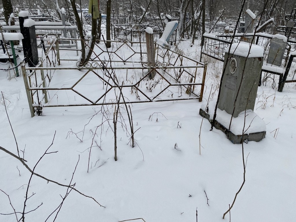 Зимина Елизавета Михайловна