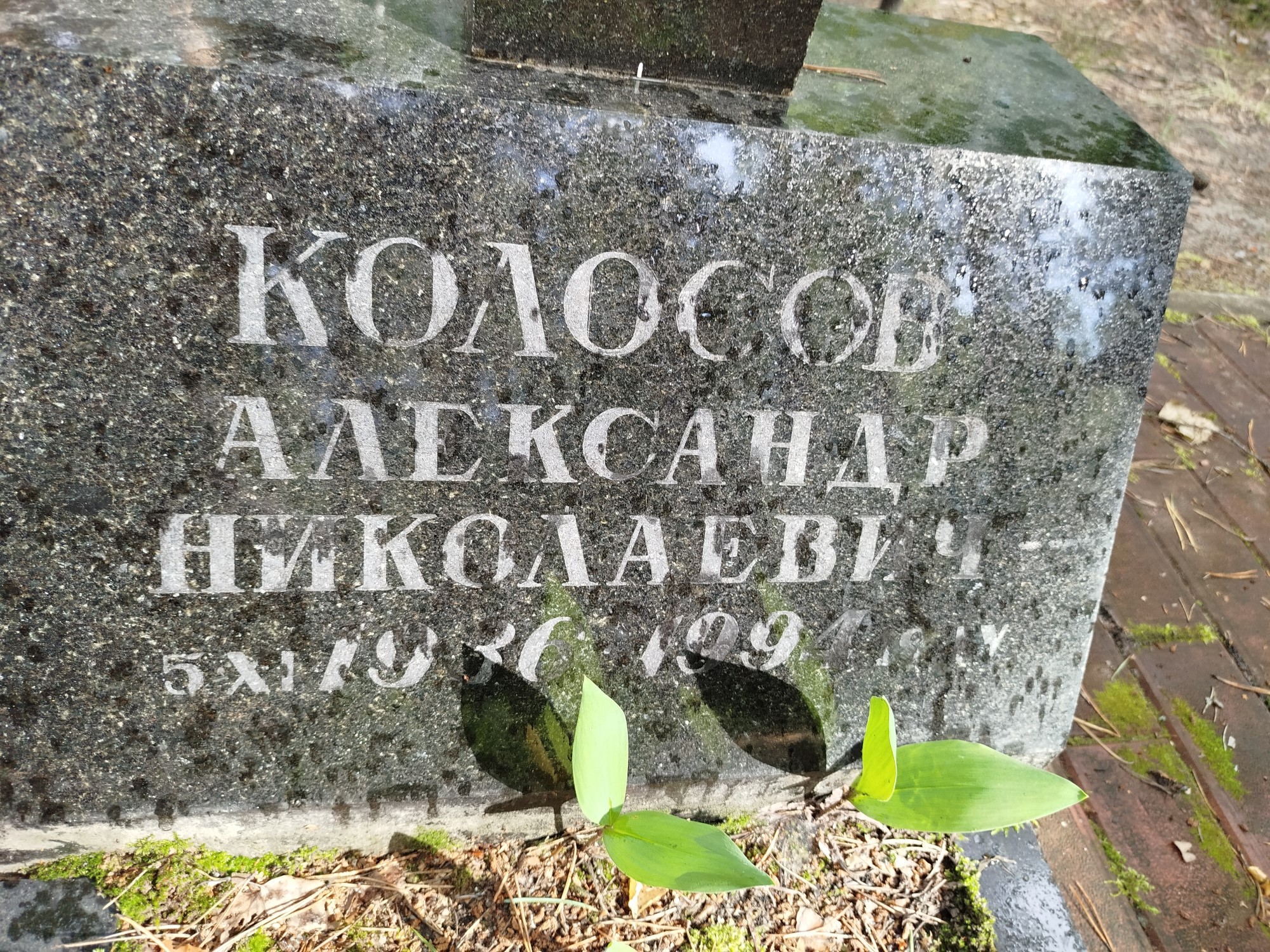 Колосов Александр Николаевич