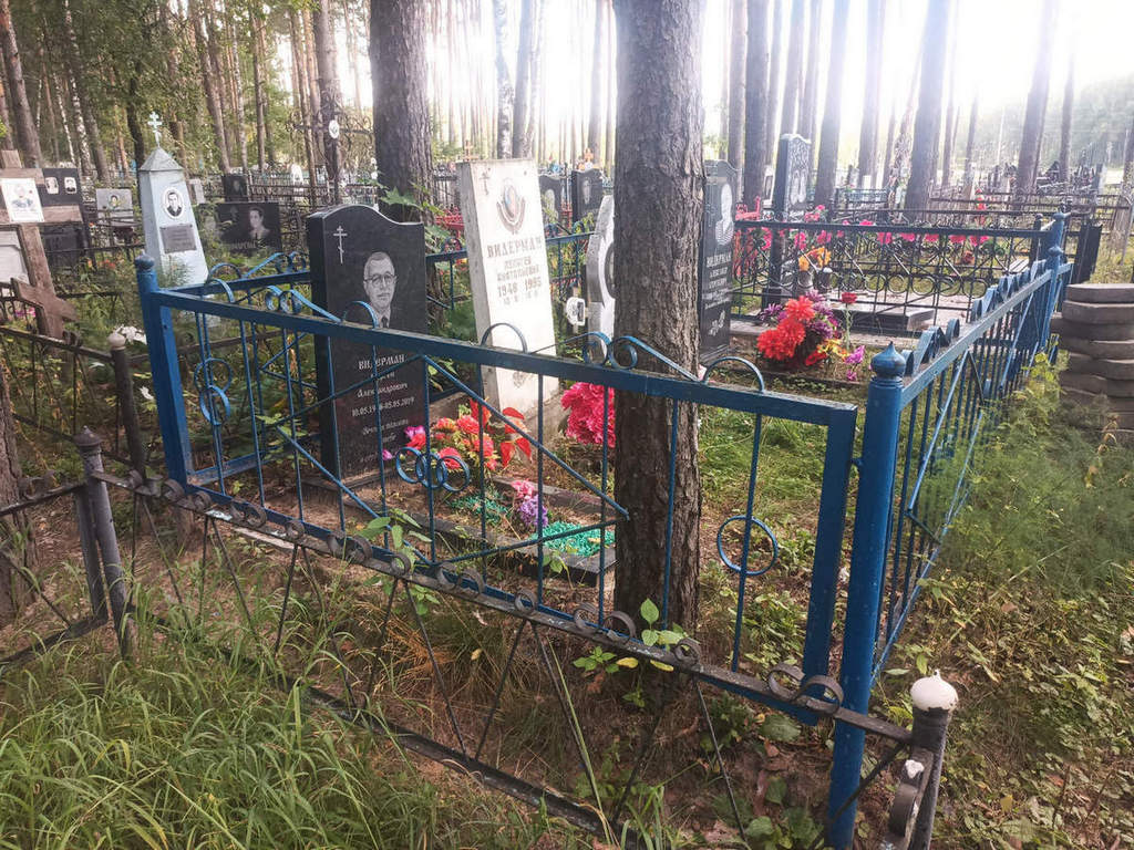 Видерман Пелагея Анатольевна