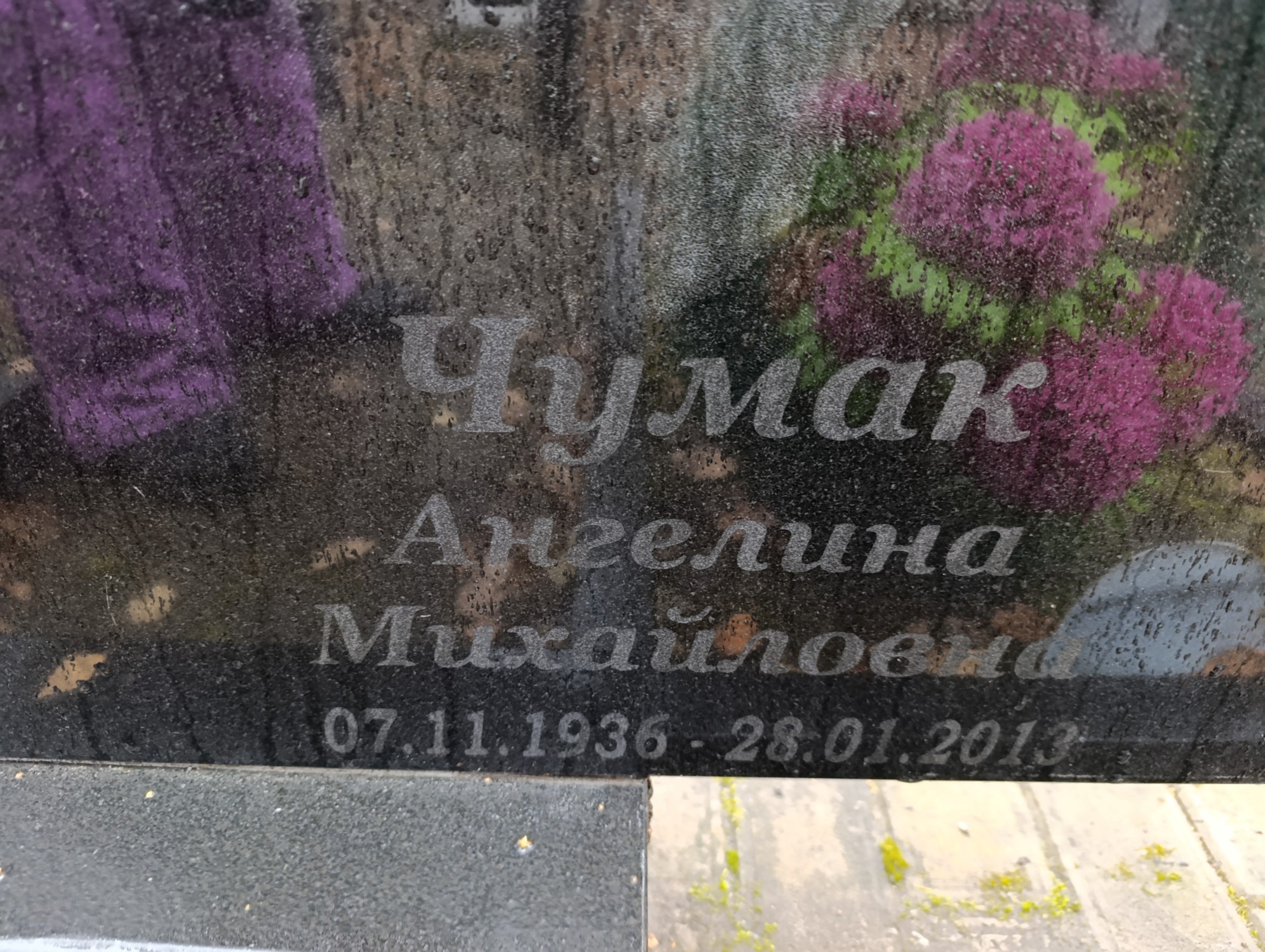 Чумак Ангелина Михайловна