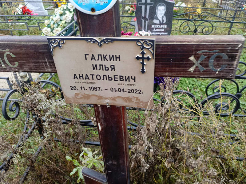 Галкин