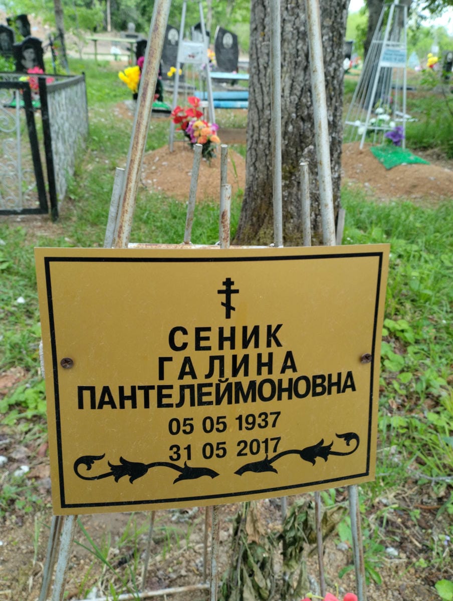 Сеник Галина Папнтелеймоновна