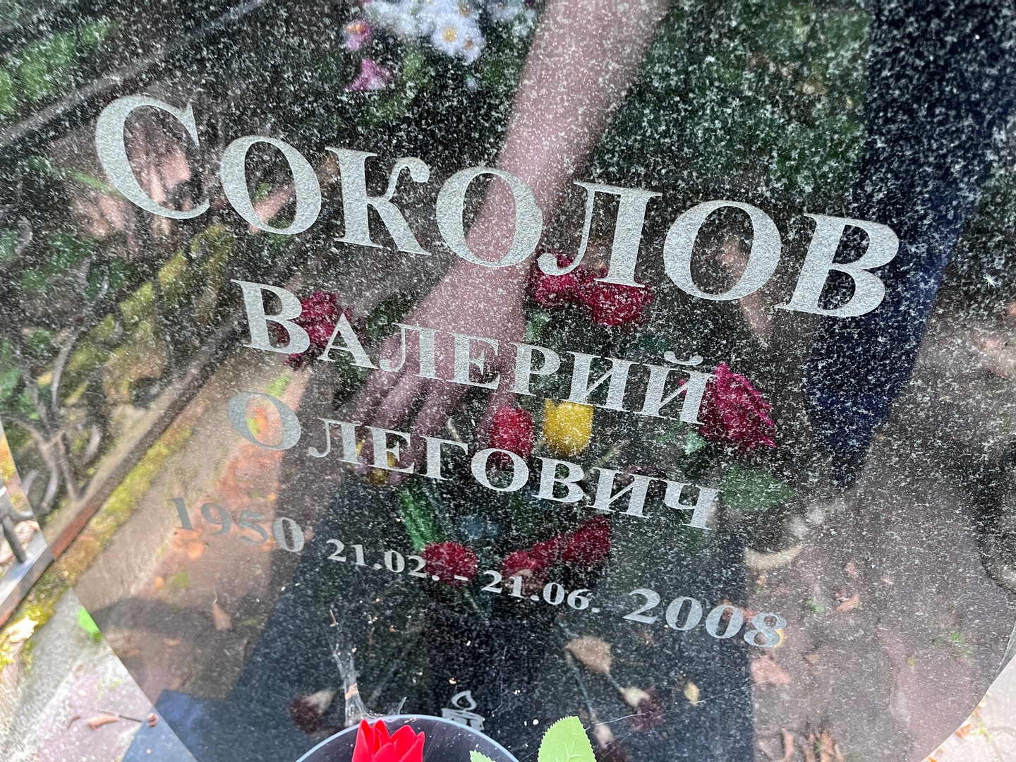Соколов