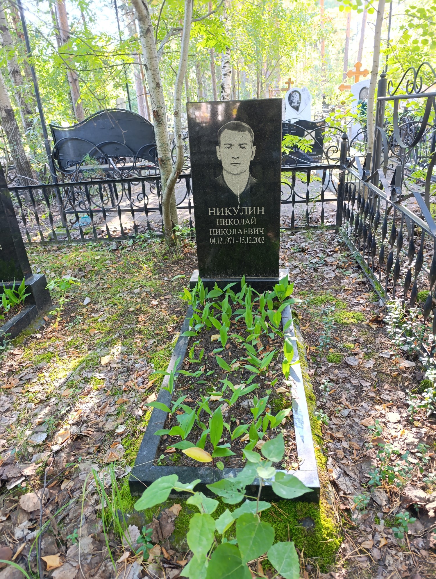 Никулин Николай Николаевич