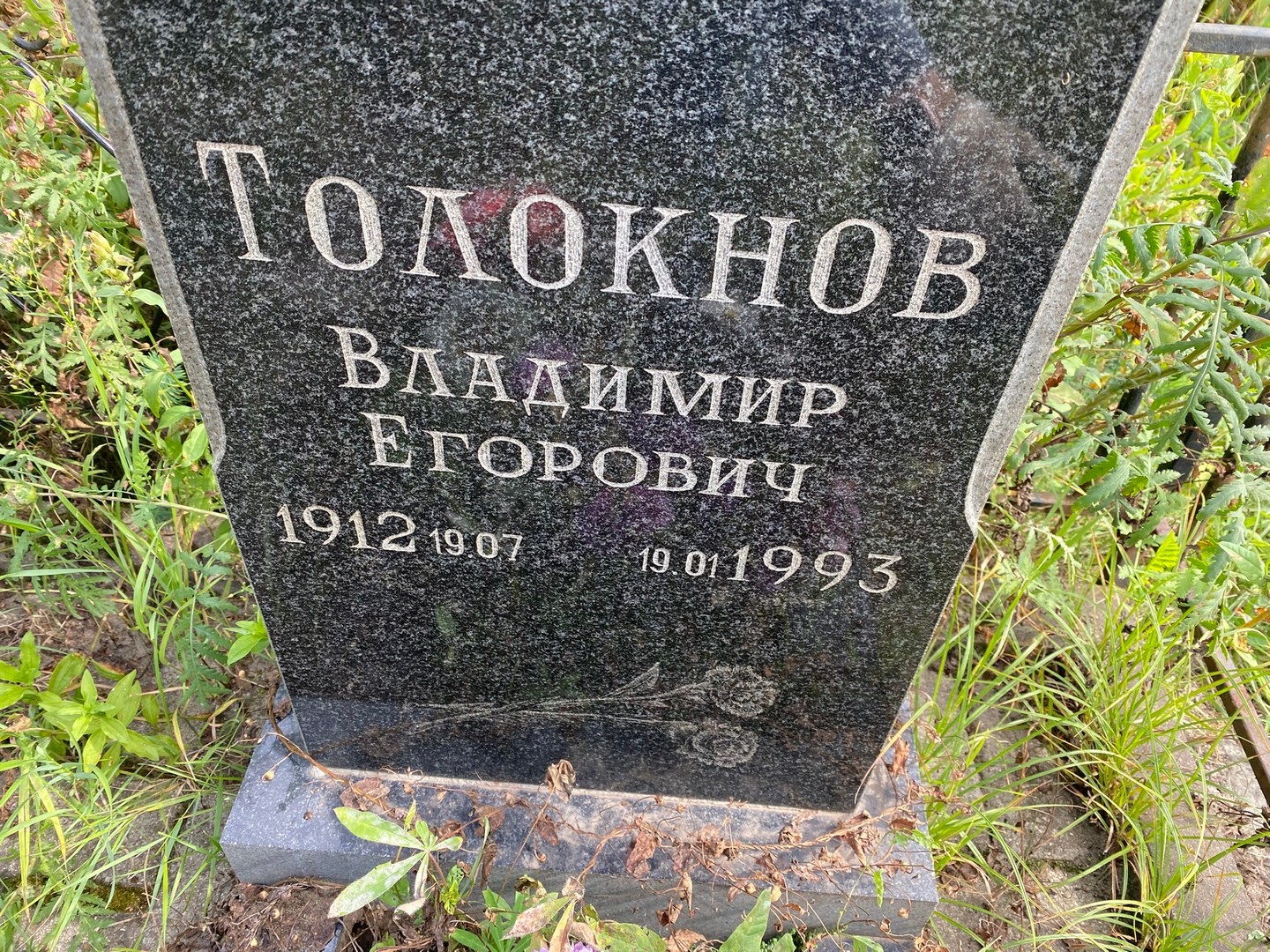 Толокнов
