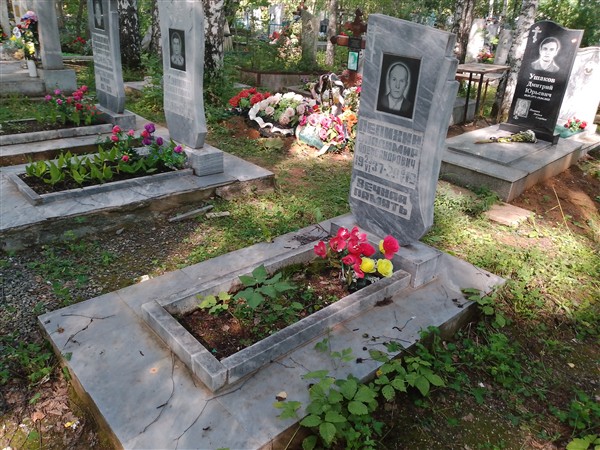 Лепихин Владимир Александрович