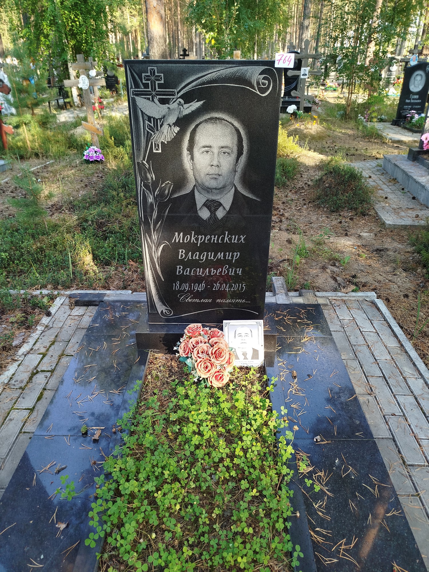 Мокренских Владимир Васильевич