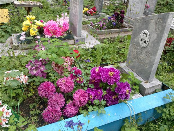 Коновалов Анатолий Николаевич