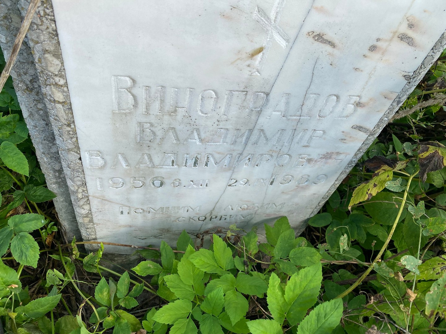 Виноградов