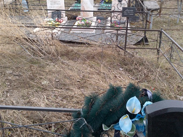 Лосев Юрий Георгиевич