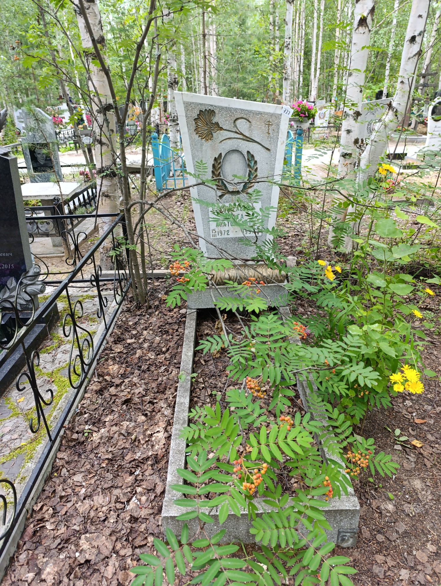 Кошелева Ольга Анатольевна