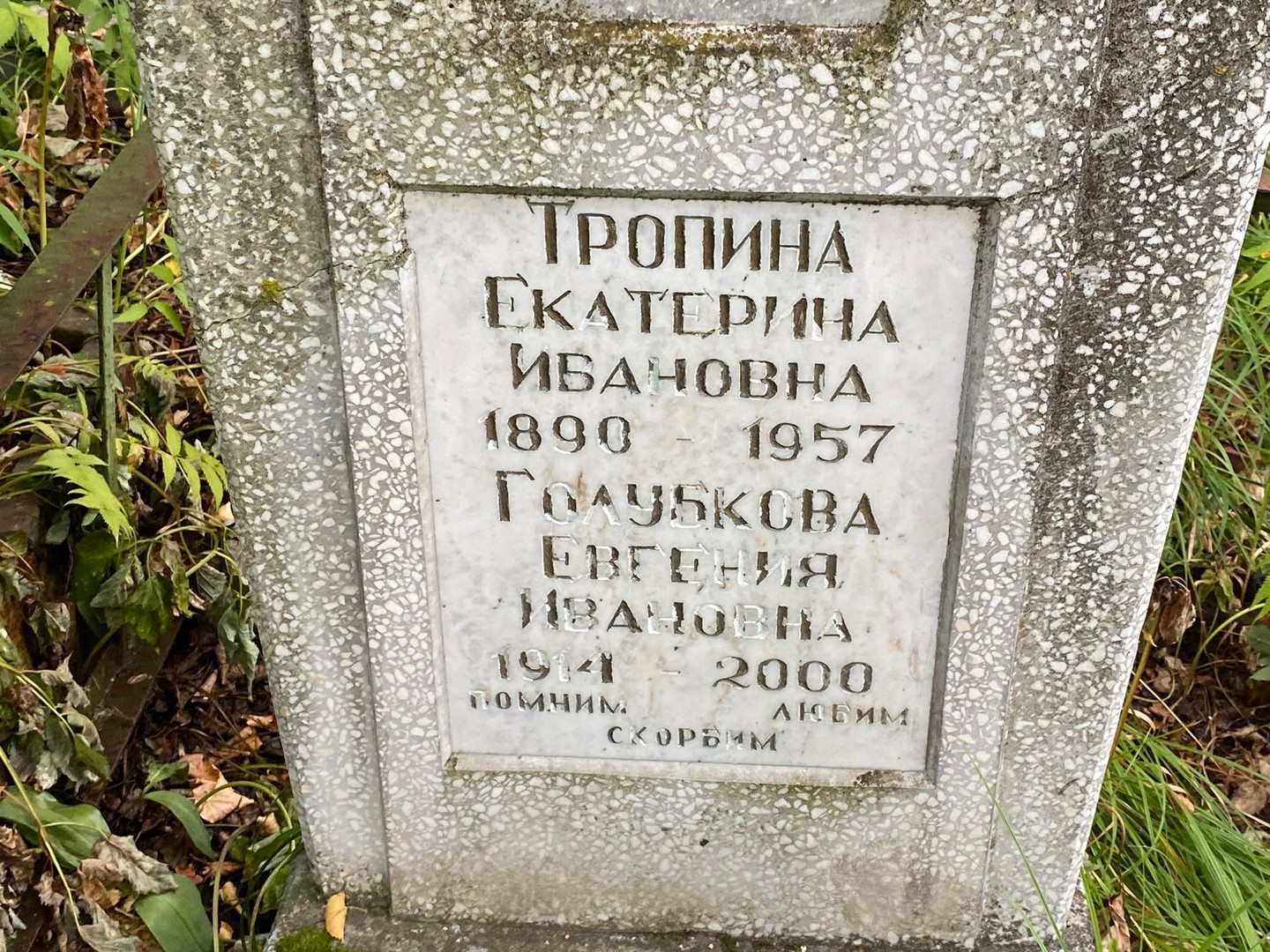 Тропина