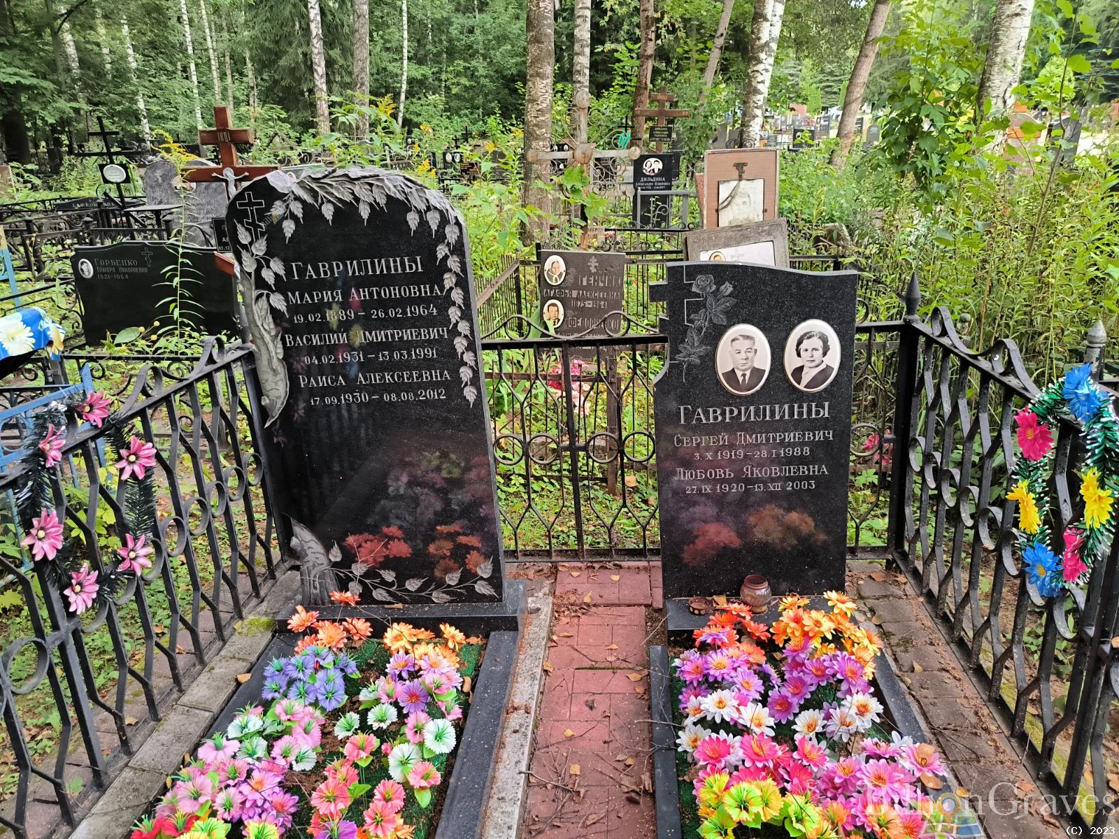 Гаврилин Василий Дмитриевич
