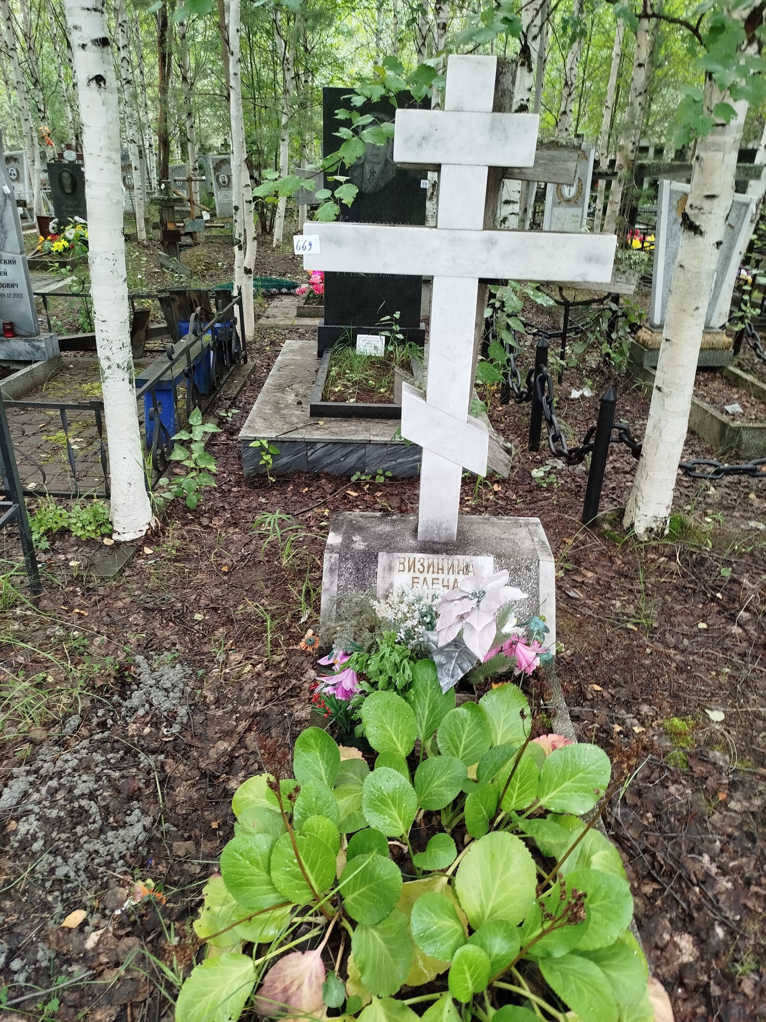 Визинина Елена Ивановна
