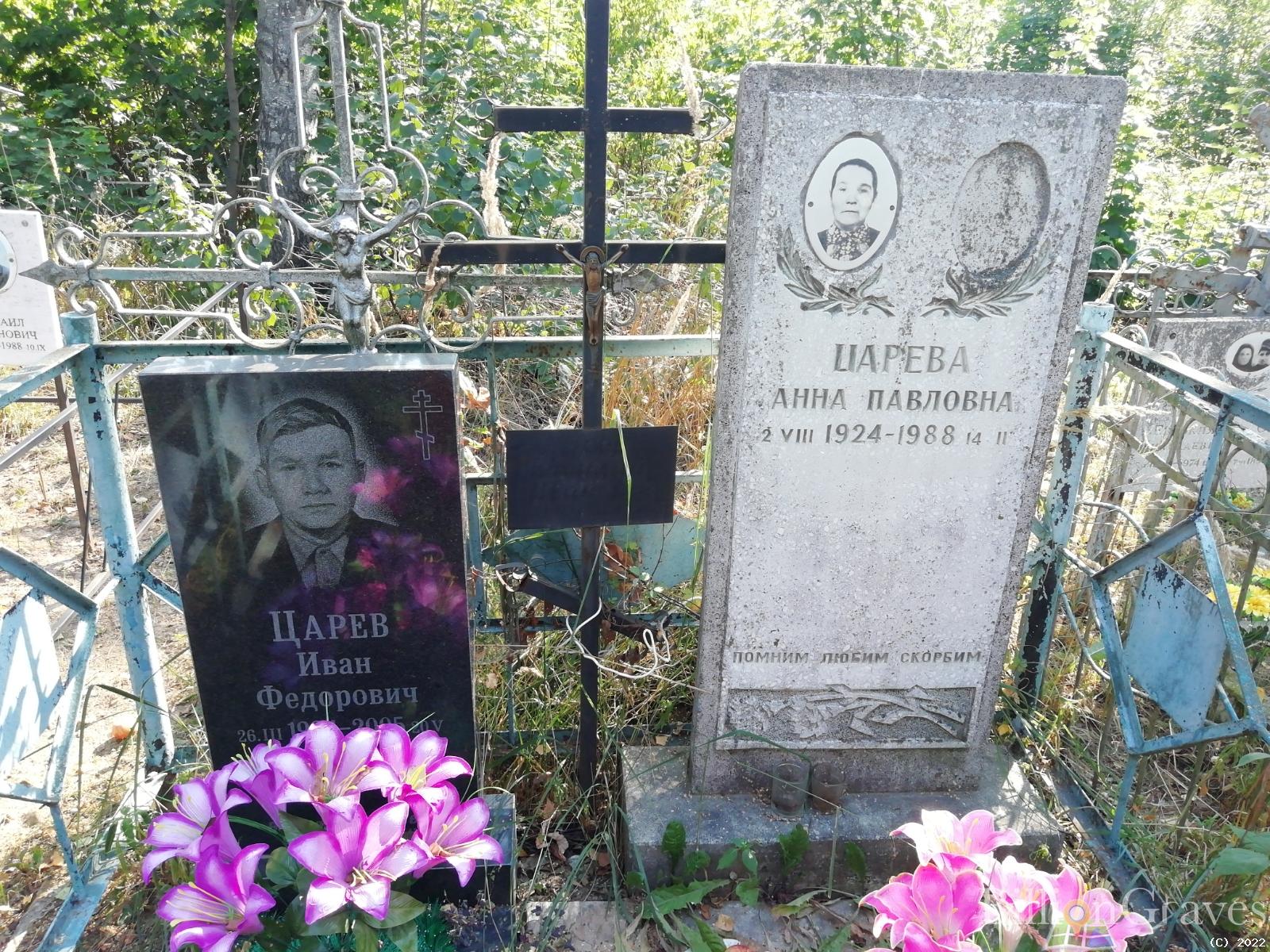 Царева Анна Павловна