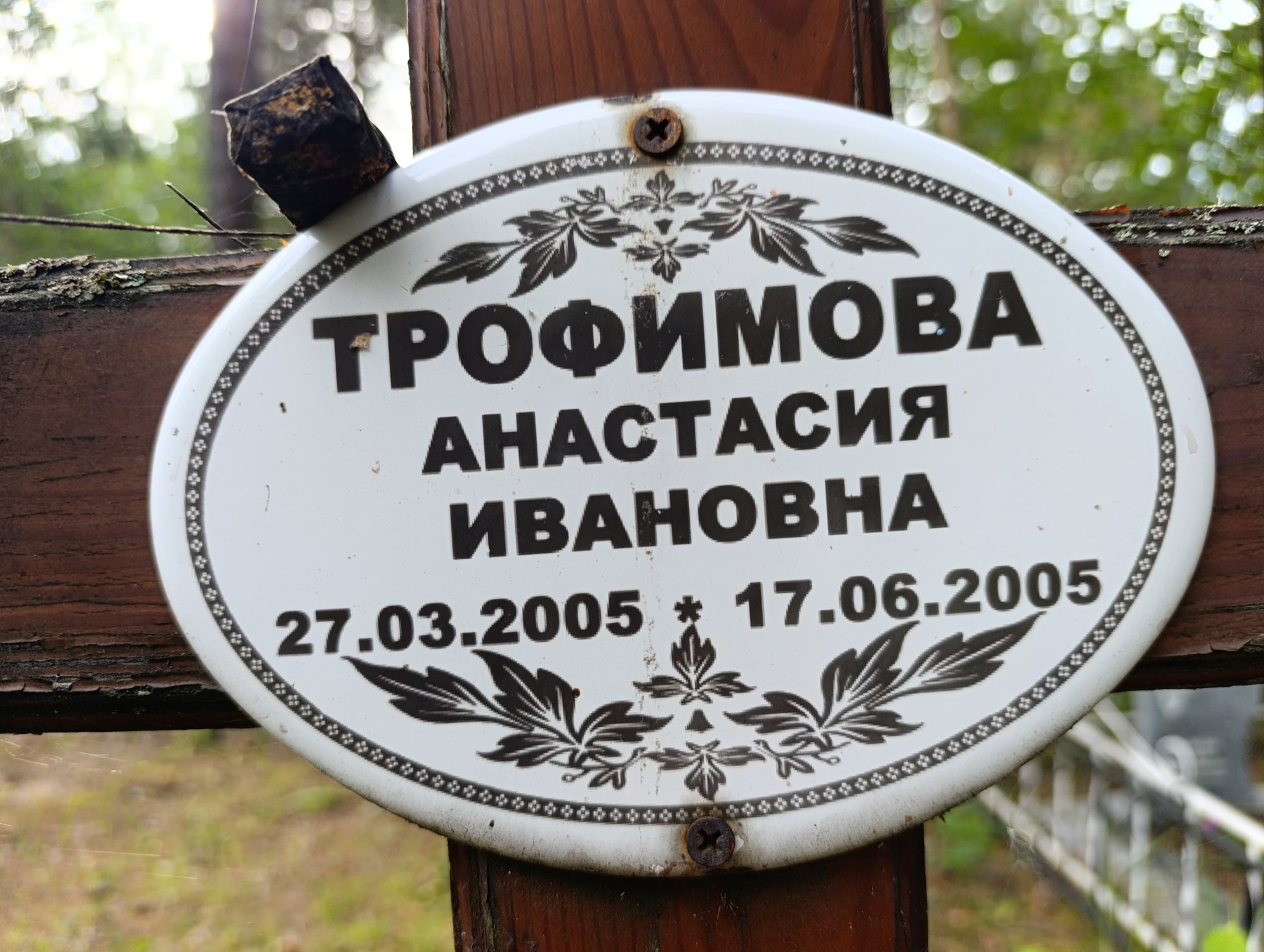Трофимова Анастасия Ивановна
