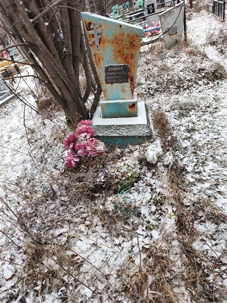 Аникин Александр Аркадьевич