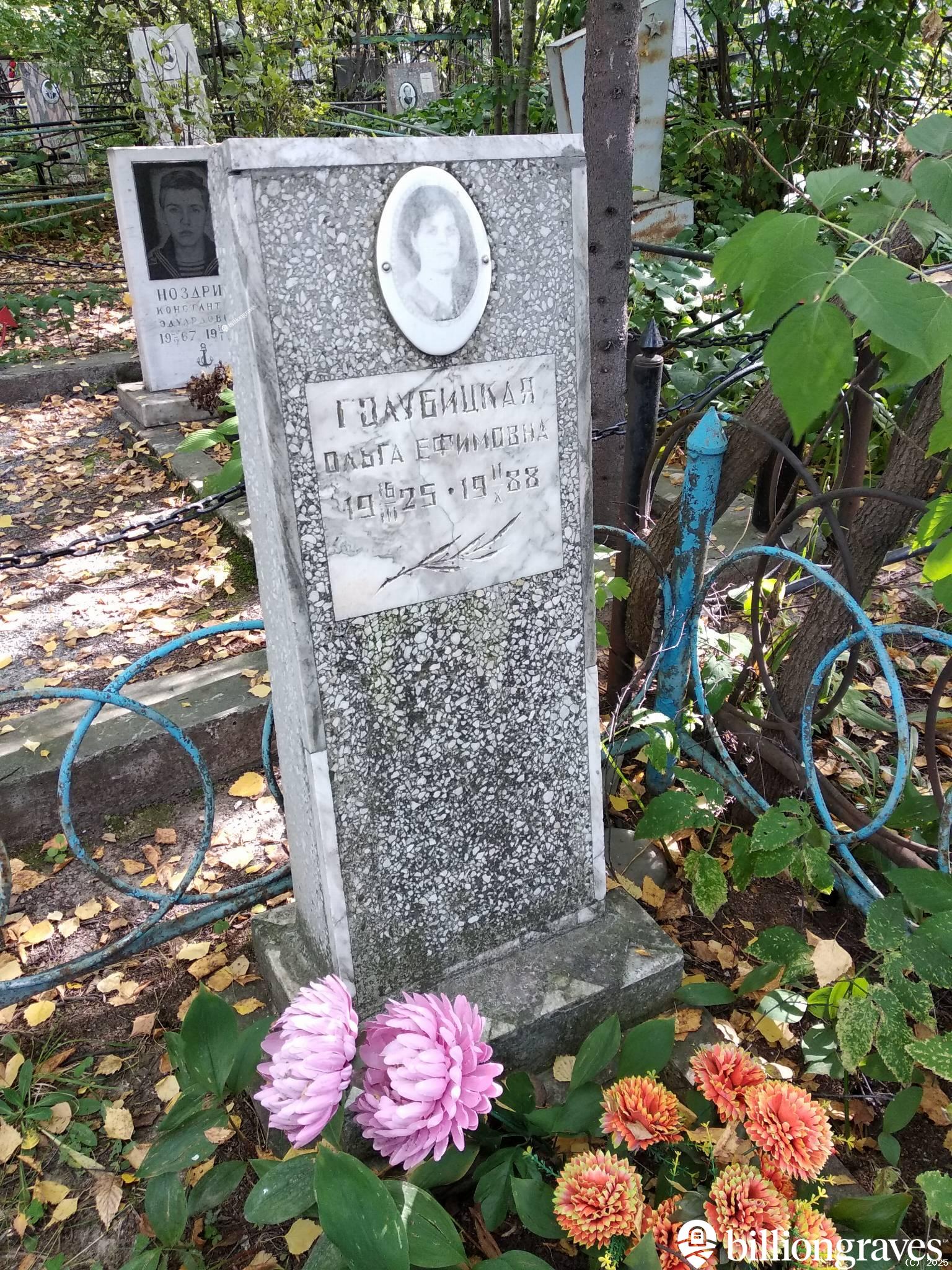 Голубицкая Ольга Ефимовна