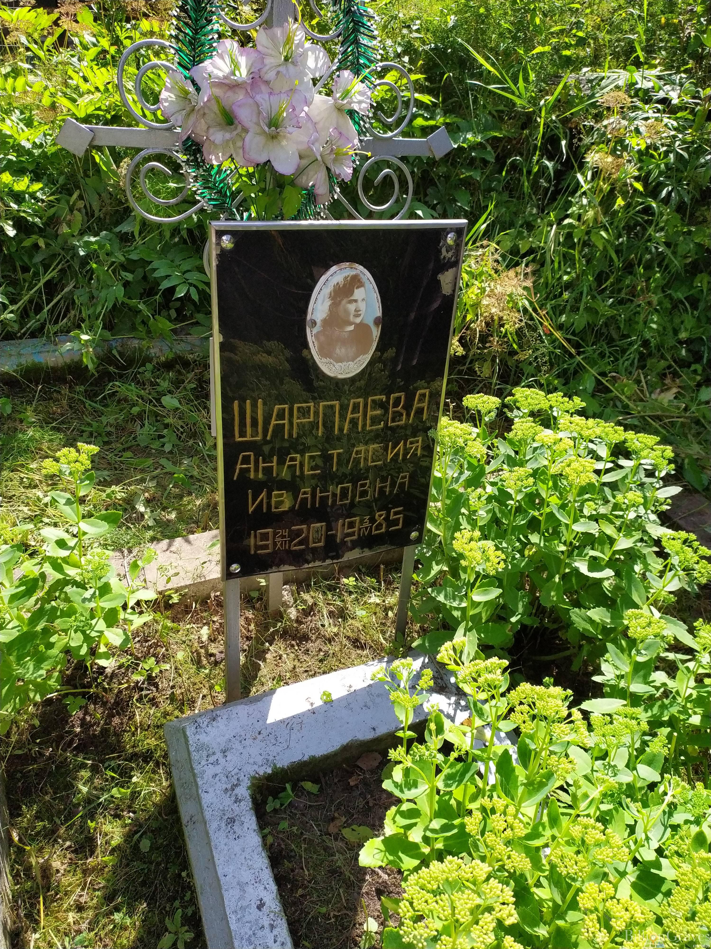 Шарпаева Анастасия Ивановна