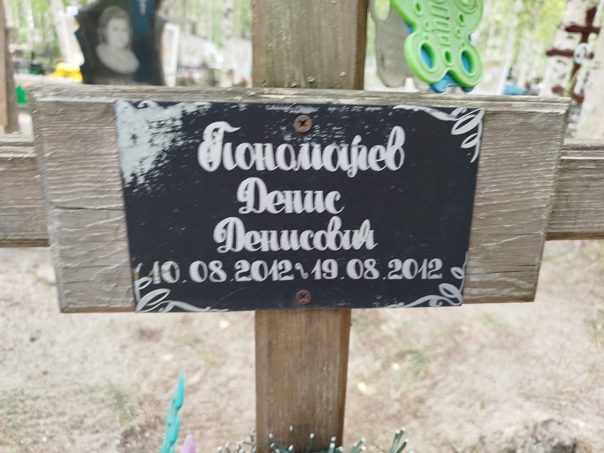 Пономарев Денис Денисович