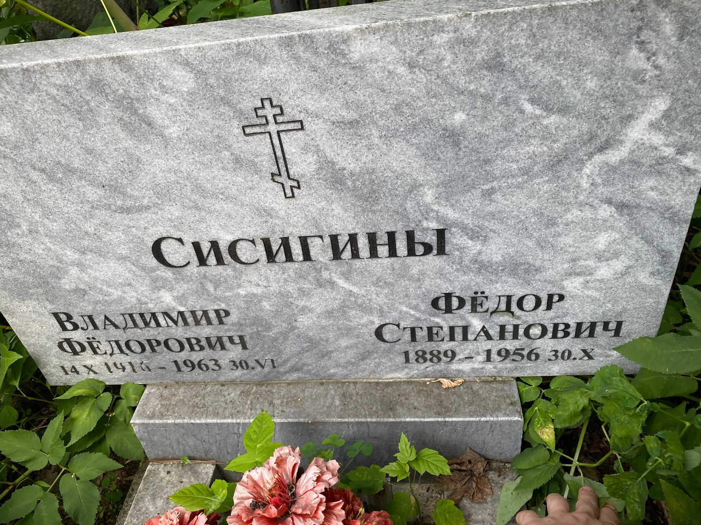 Сисигин