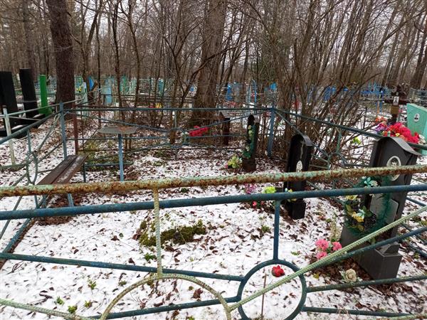 Бердников Михаил Алексеевич