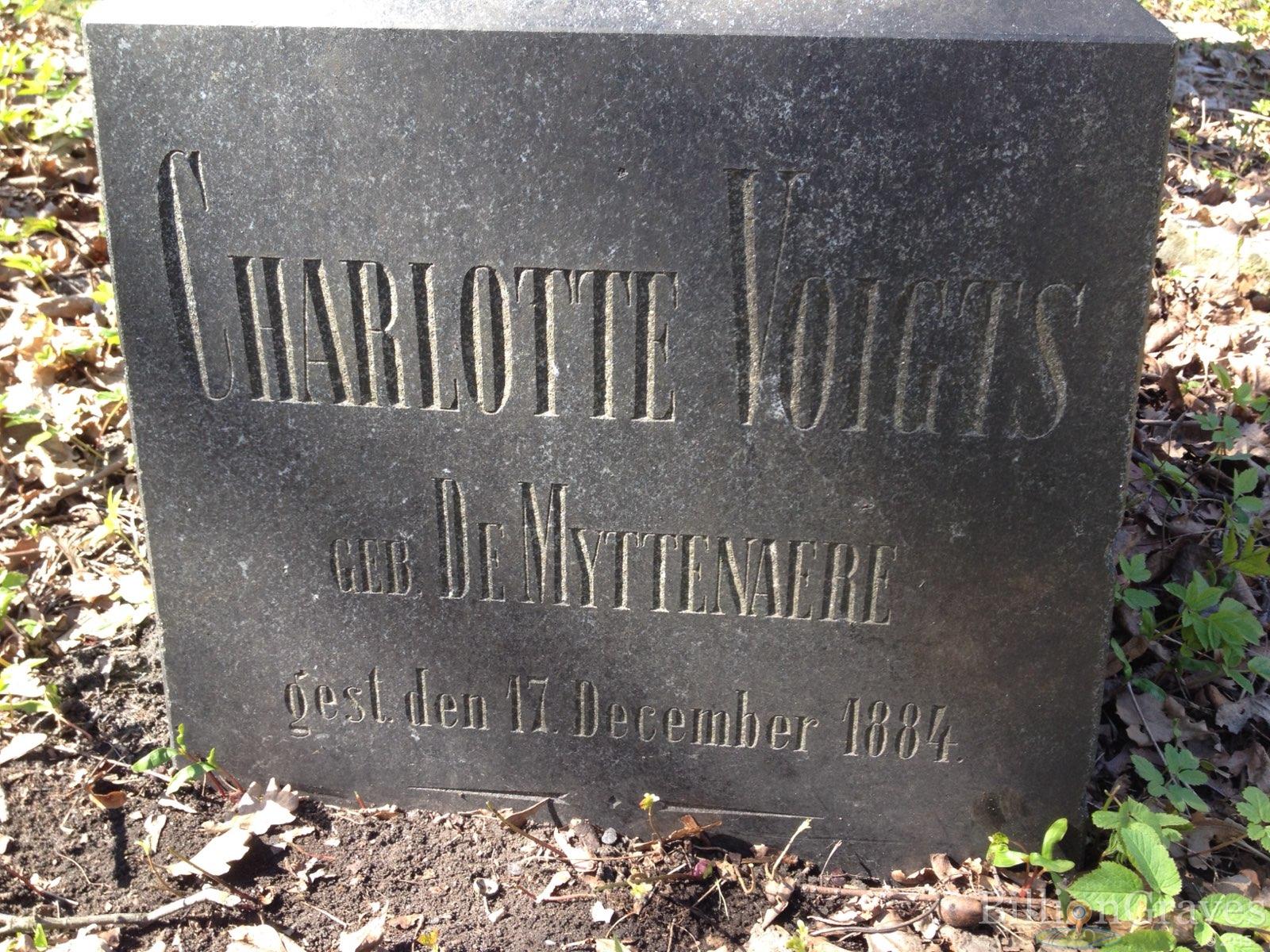 Voigts Wilhelm