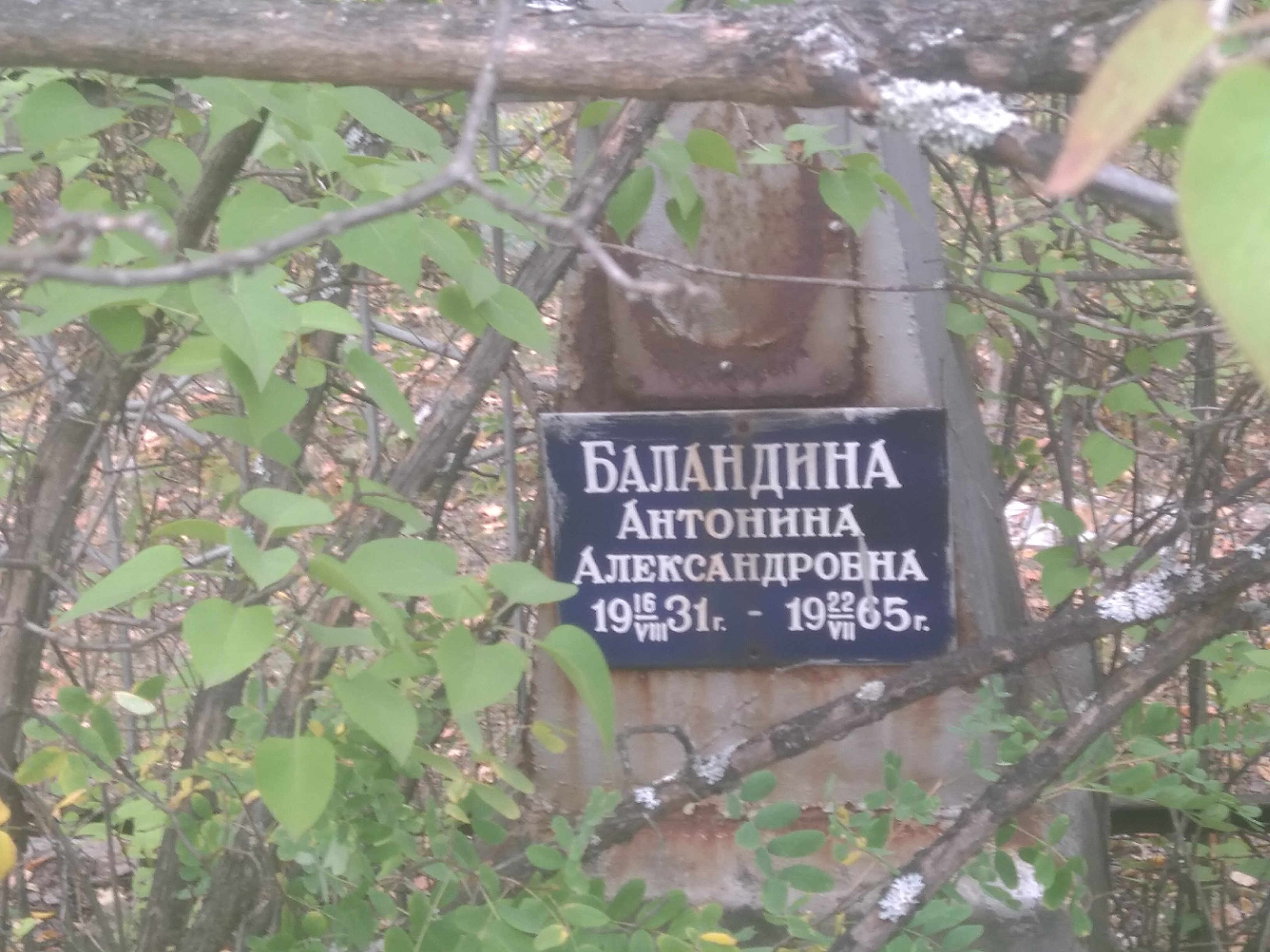 Баландина Антонина Александровна