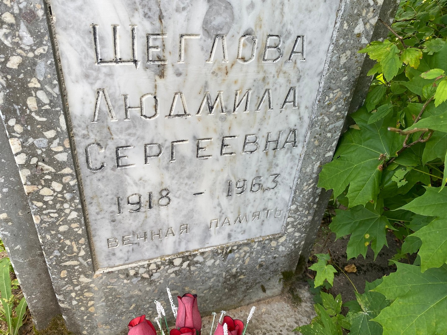 Щеглова