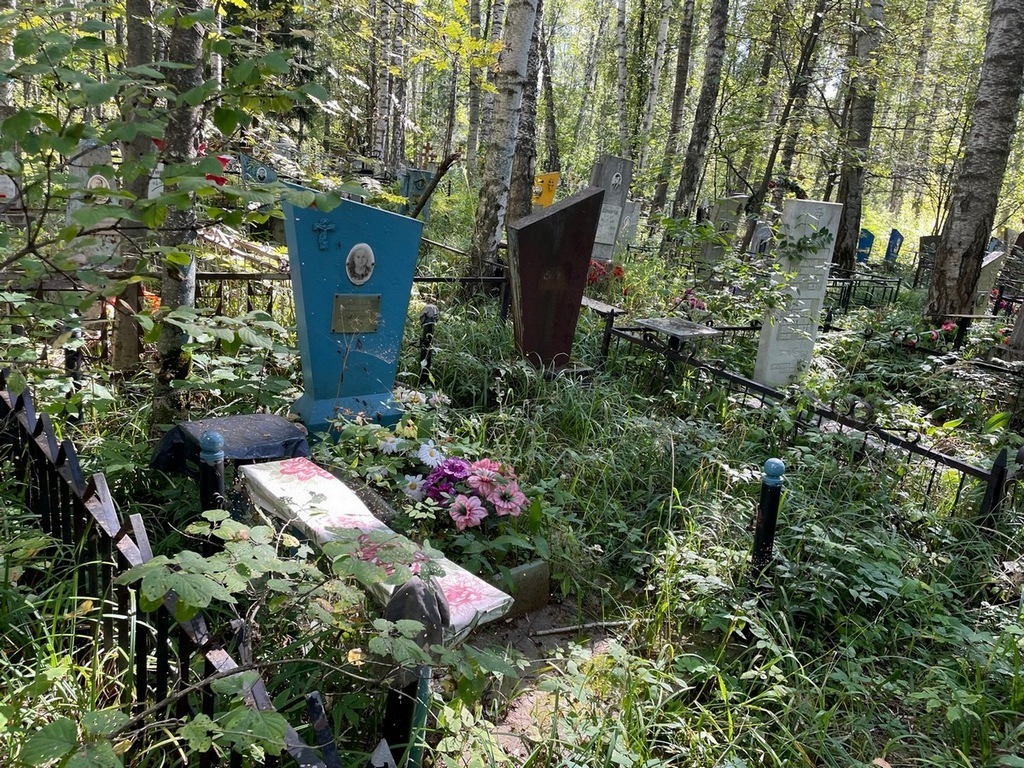 Лосева Евдокия Сергеевна