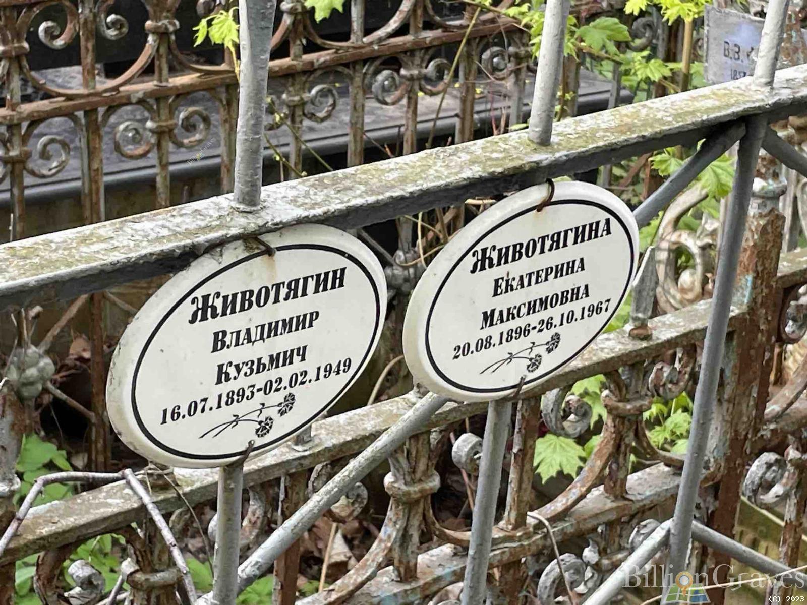Животягин Владимир Кузьмич