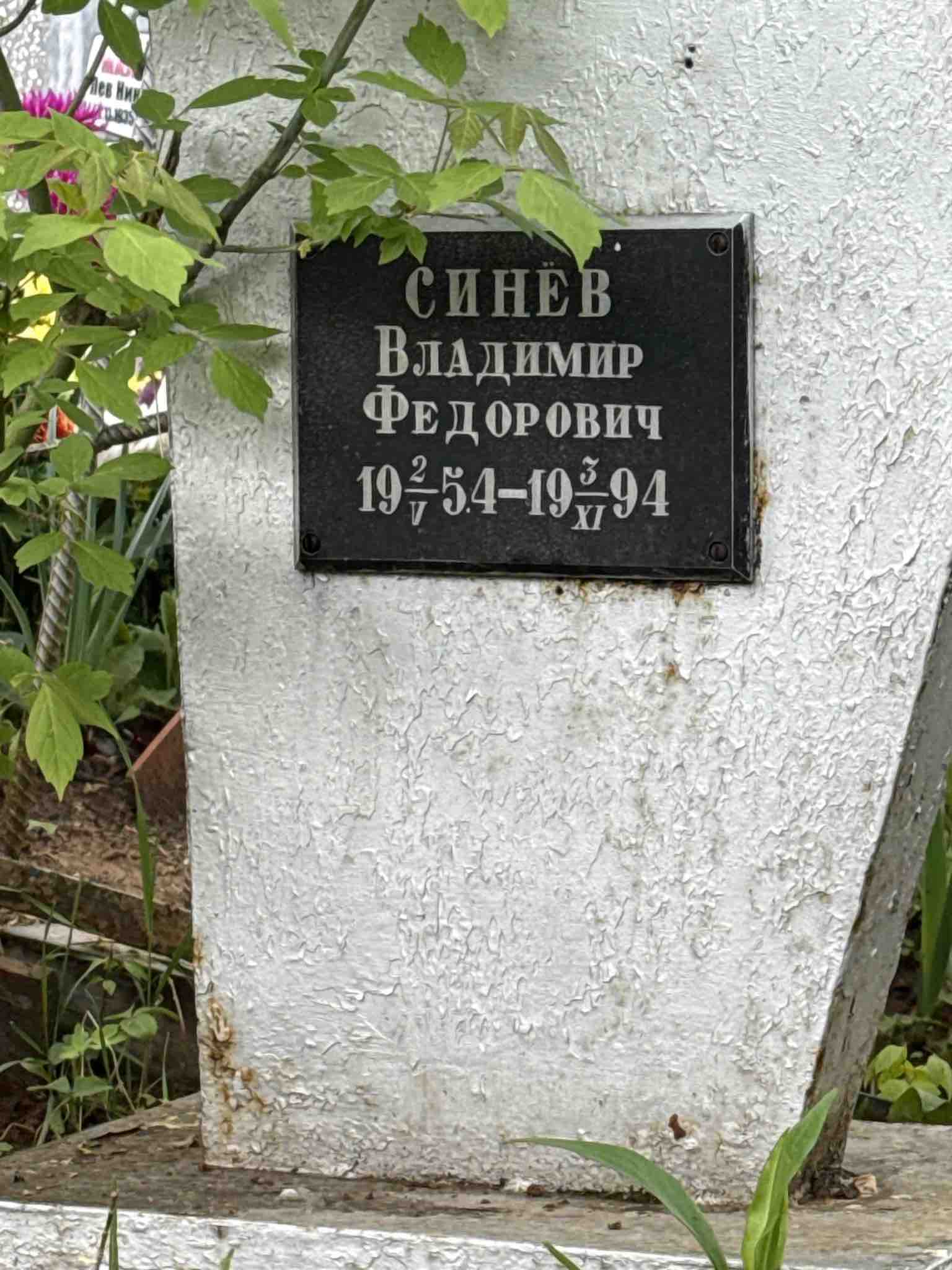 Синев Владимир Федорович