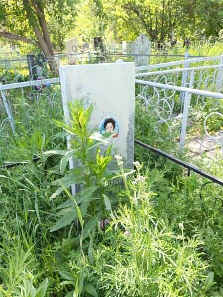 Андреева Нонна Ивановна