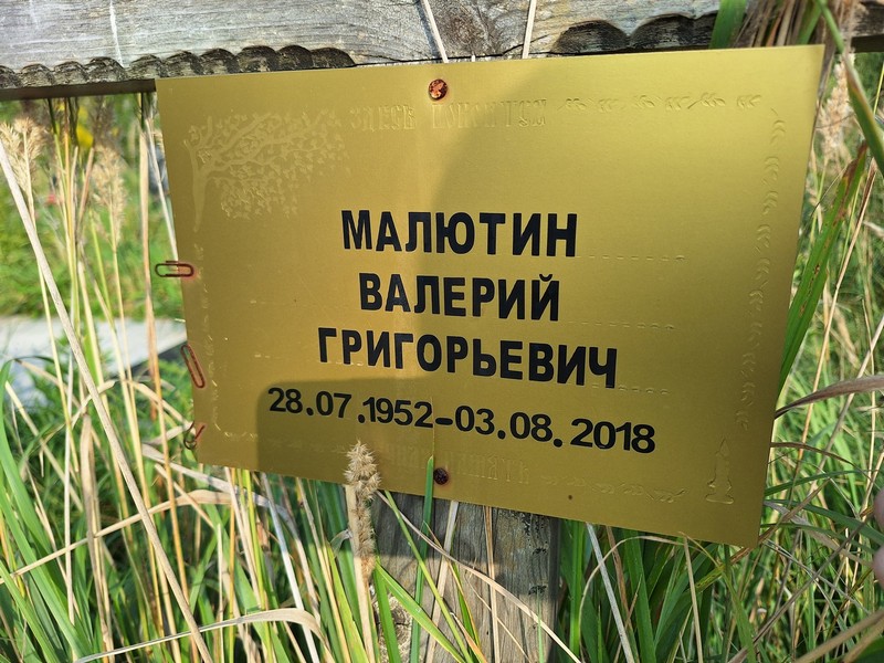 Малютин