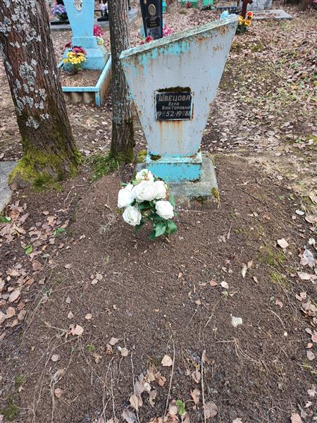 Швецова Вера Викторовна