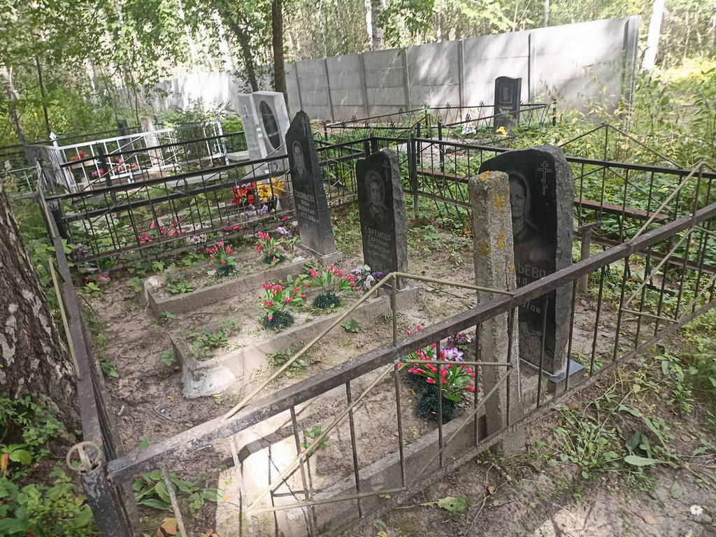 Ефремова Екатерина Васильевна
