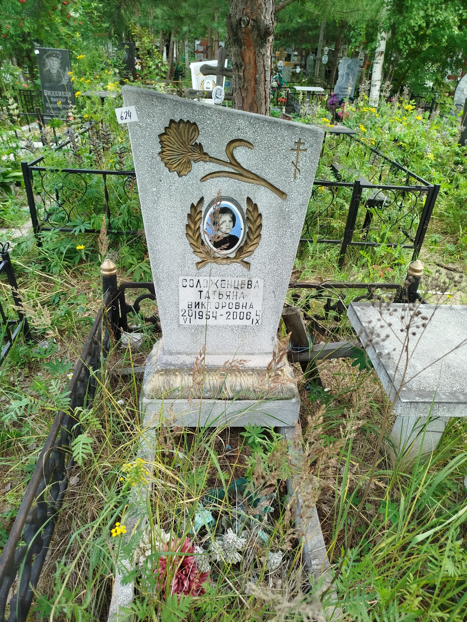 Соложенцева Татьяна Викторовна
