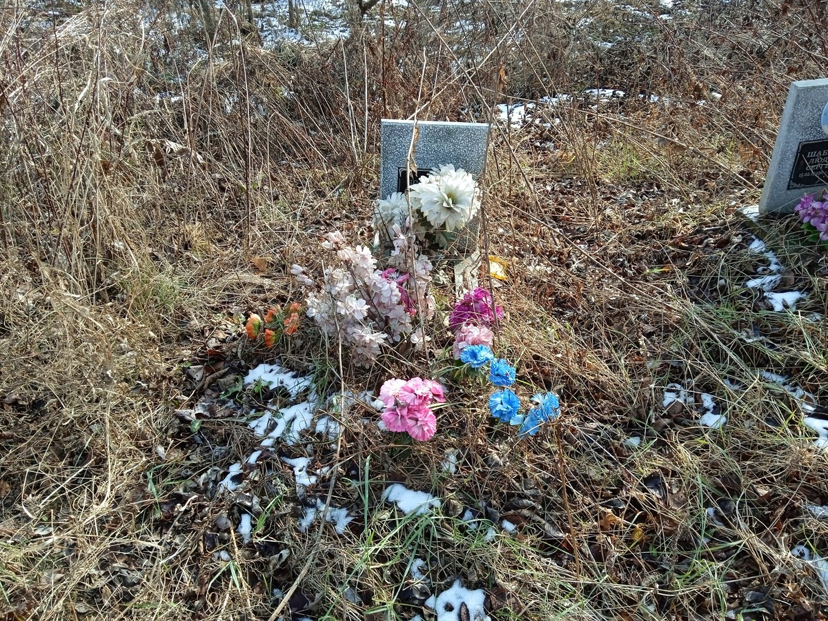 Борисенко Татьяна Сергеевна