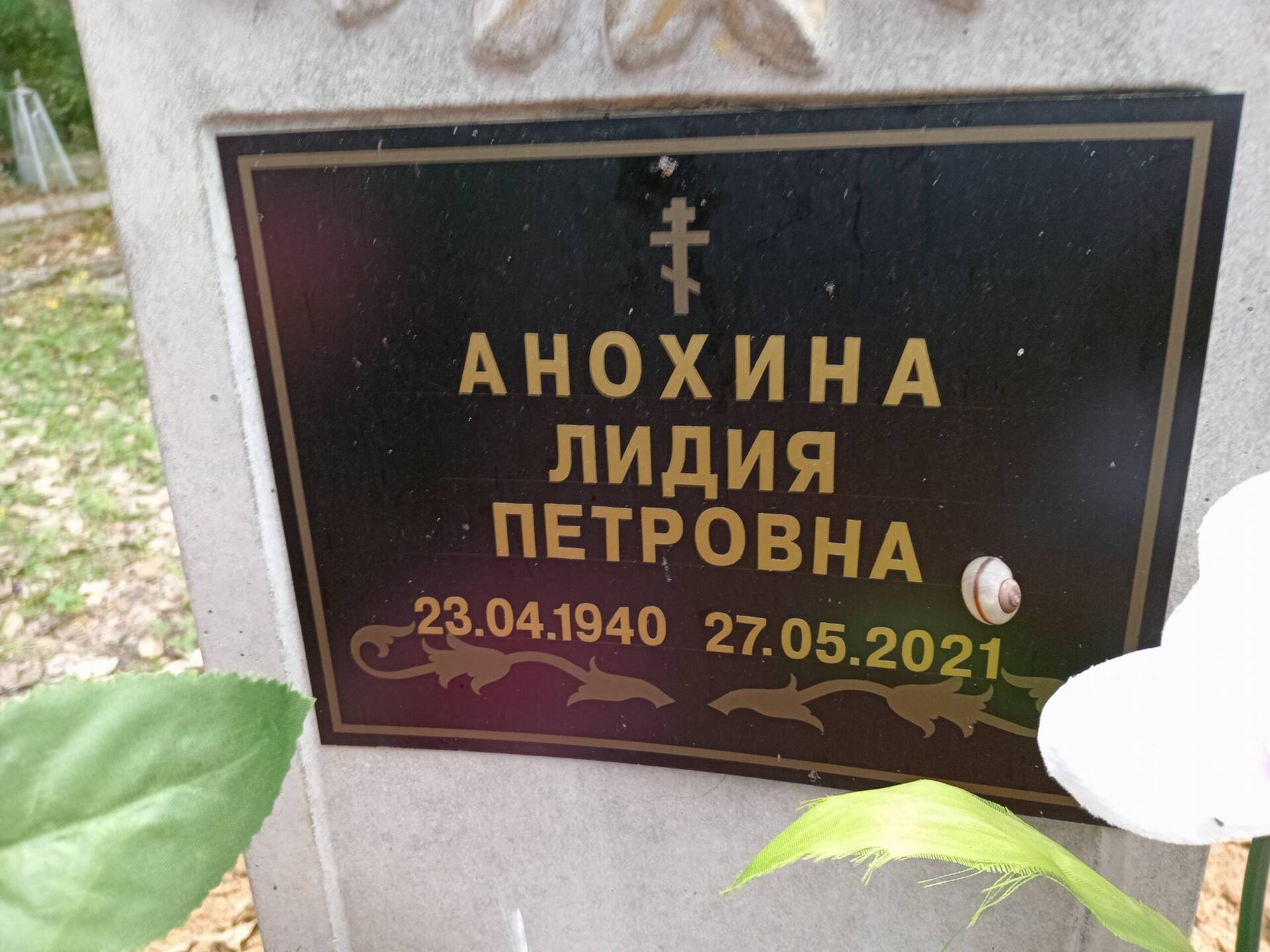 Анохина Лидия Петровна