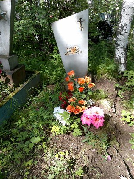 Шевчук Екатерина Андреевна