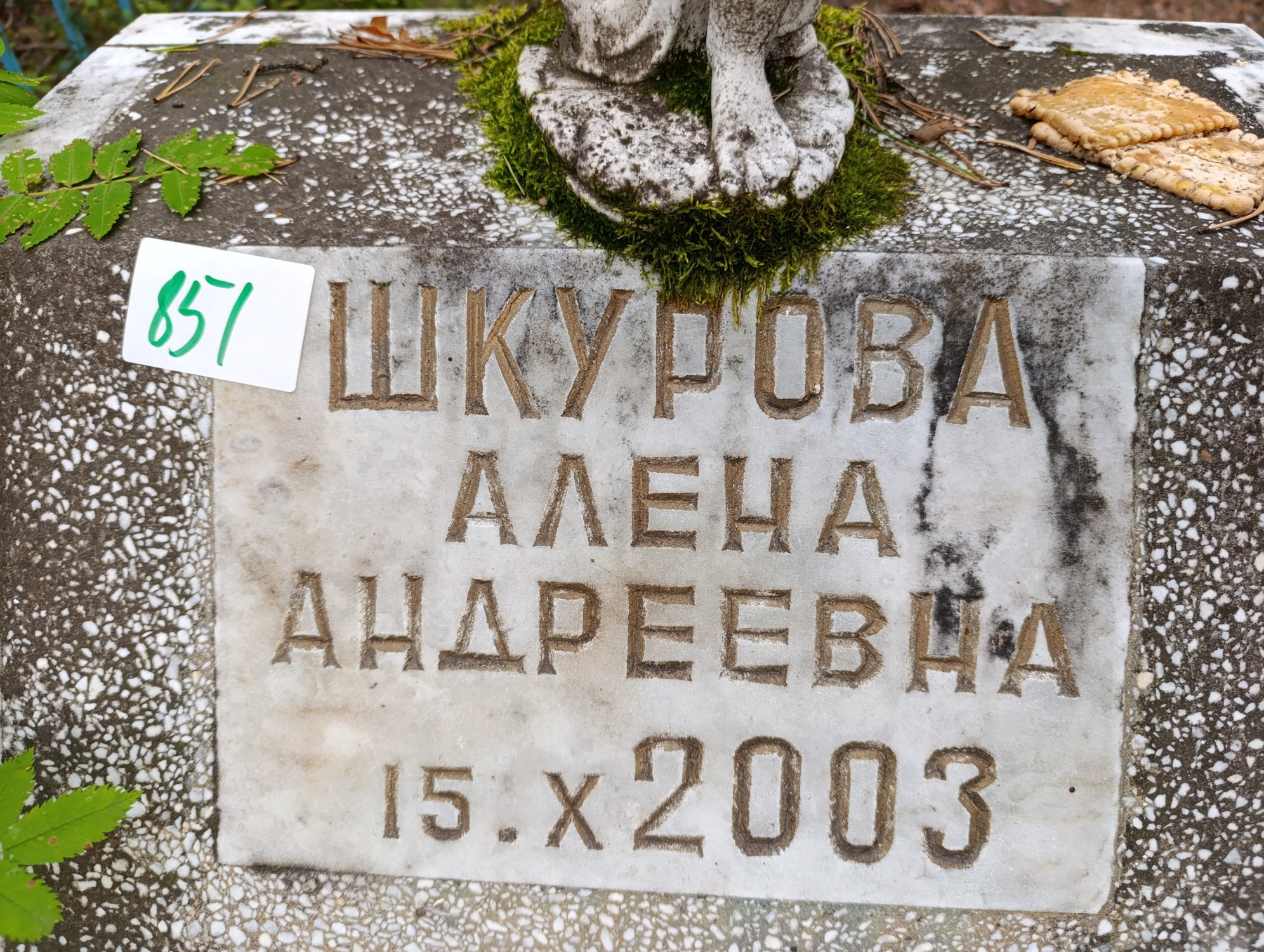 Шкурова Алена Андреевна